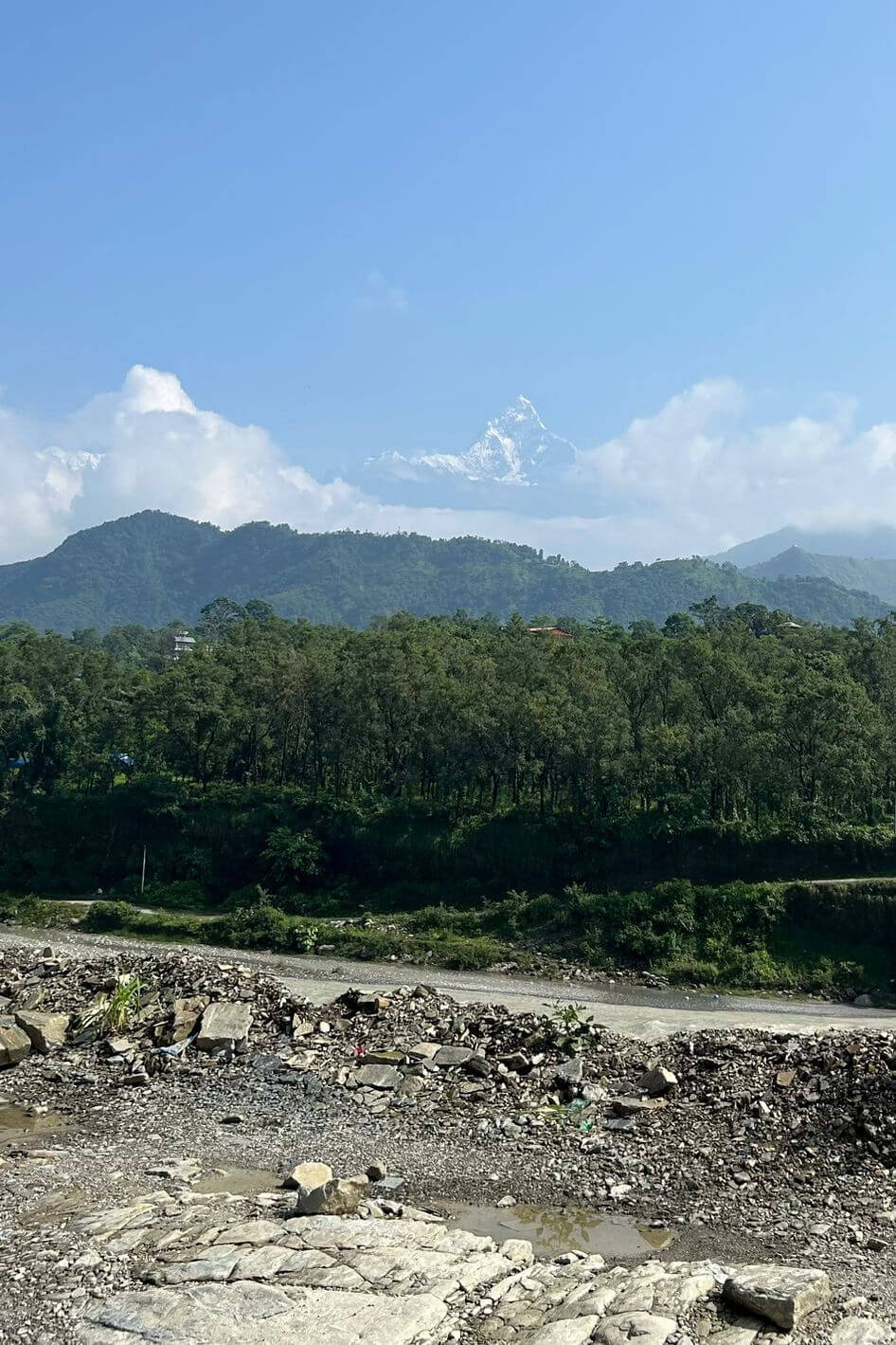 A view across stony ground to green trees and mountains beyond. In the far distance, the peak of a high mountain rises to the clouds