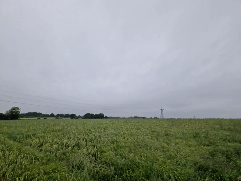 A field of green barley battered by rain. The sky is grey and more rain is coming