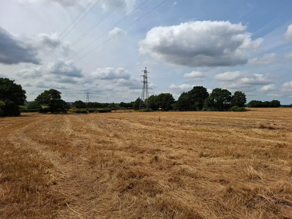 A bare stubbly field with trees in the background