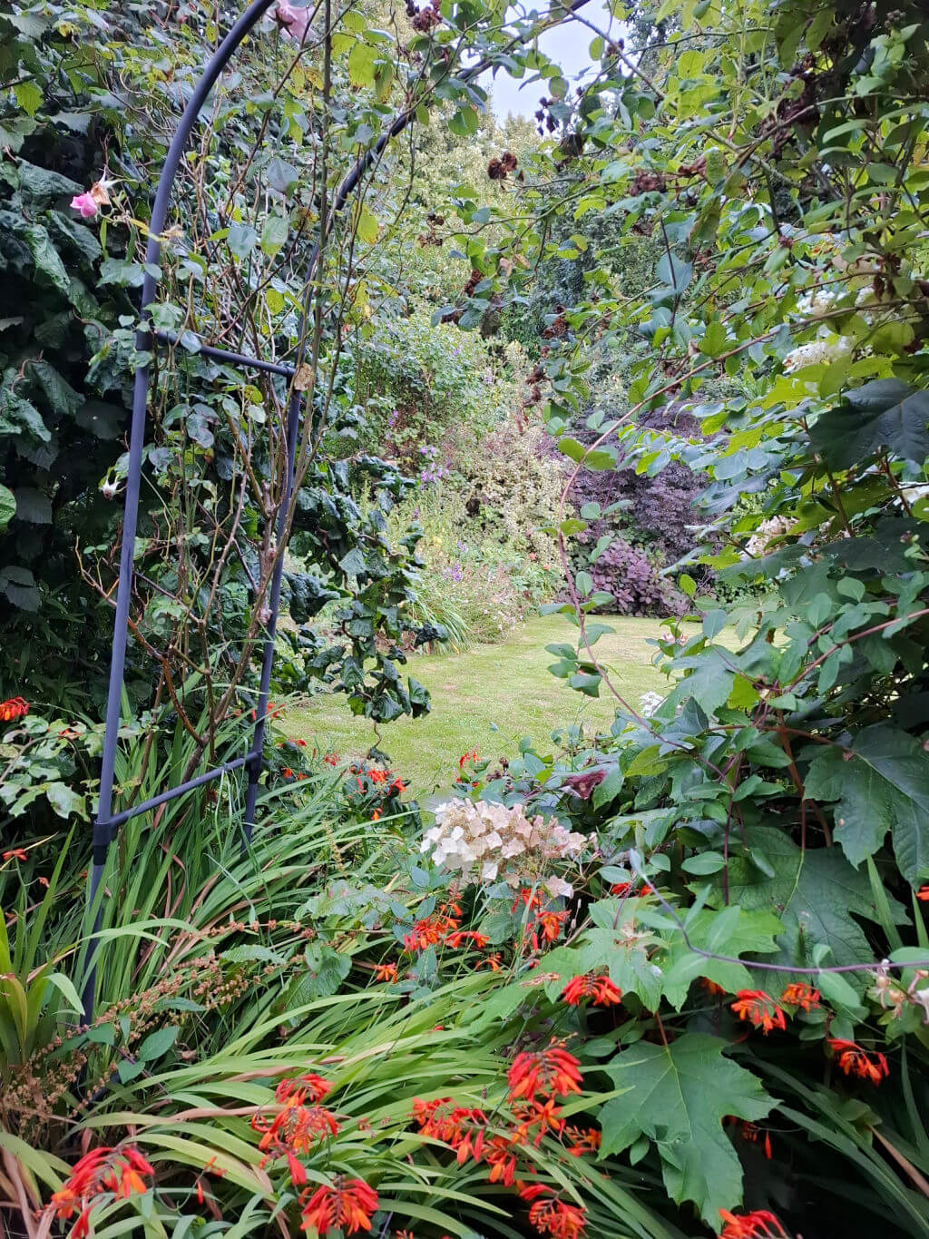 A few through a garden arch to the borders beyond