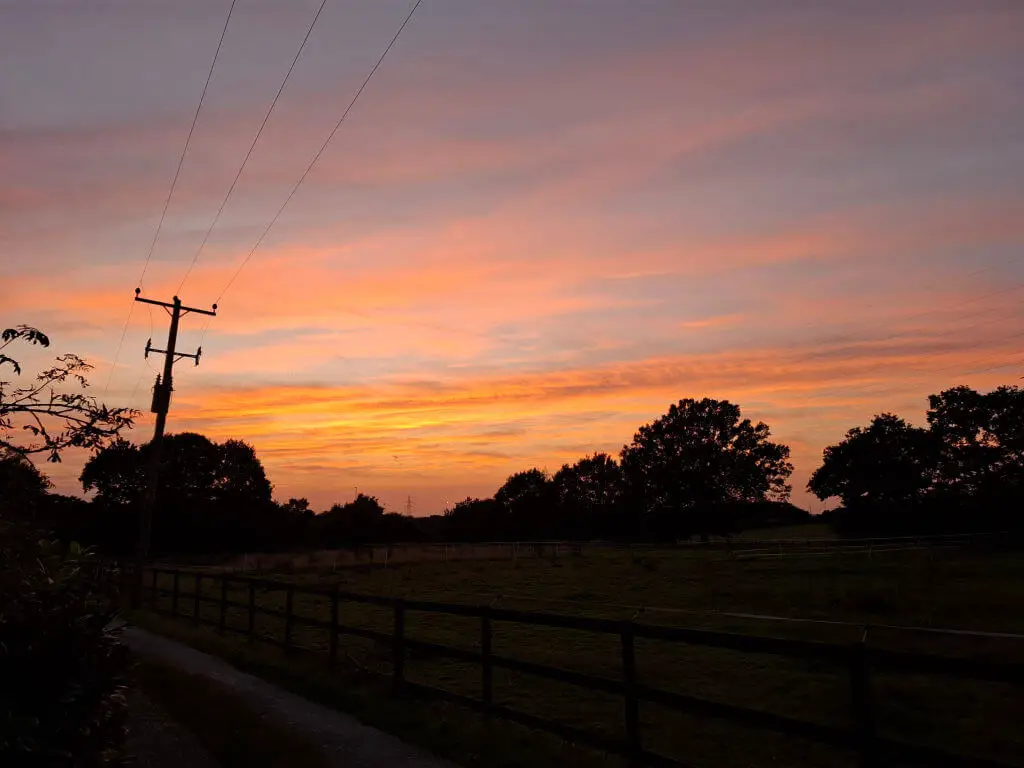 A glowing red and pink sunset sky with trees and an electricity pole silhouetted against the sky