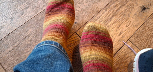 A pair of socks in stripes of brown, red, green and gold on a pair of feet. The person wearing them is wearing jeans and the feet are resting on a wooden floor
