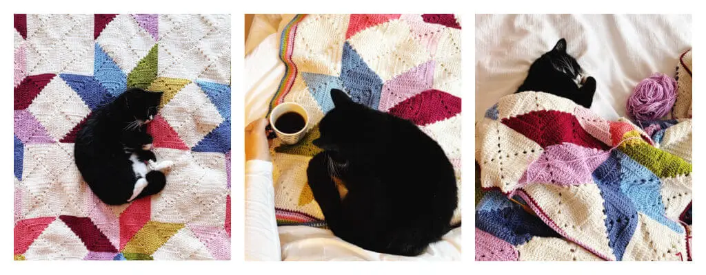 A collage of three photos of a black and white cat sitting on a partly-made crochet blanket