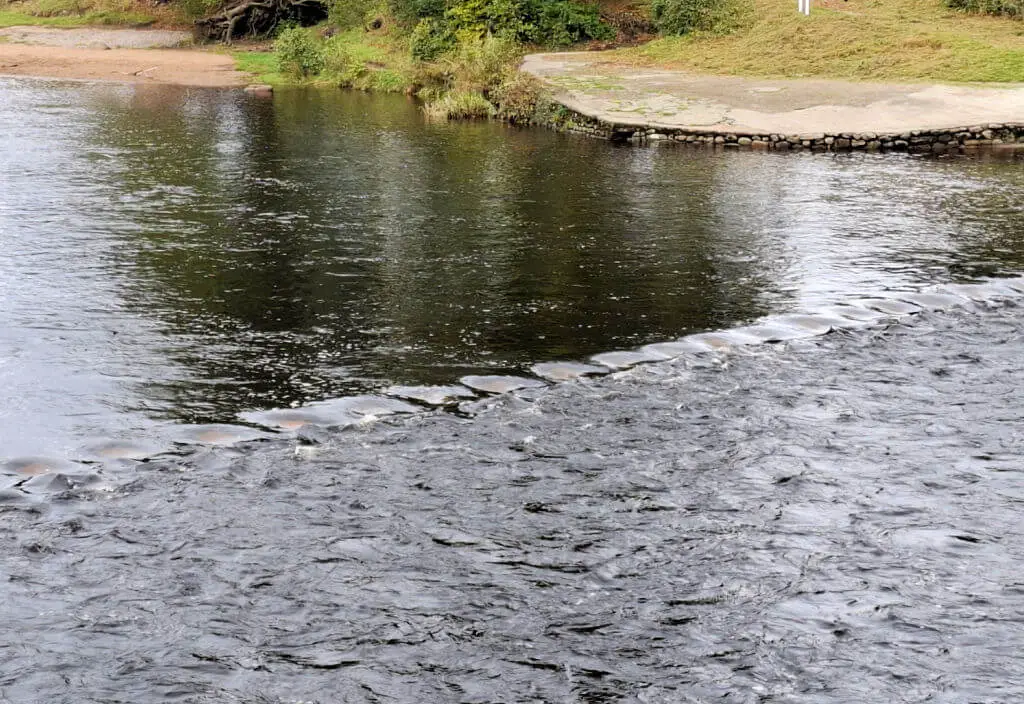 A close up of smooth river water flowing over stepping stones and becoming choppy after the stones