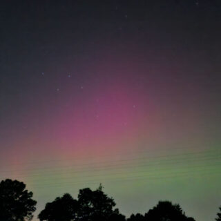 Pink and green aurora borealis northern lights in the night sky. Trees are silhouetted against the sky