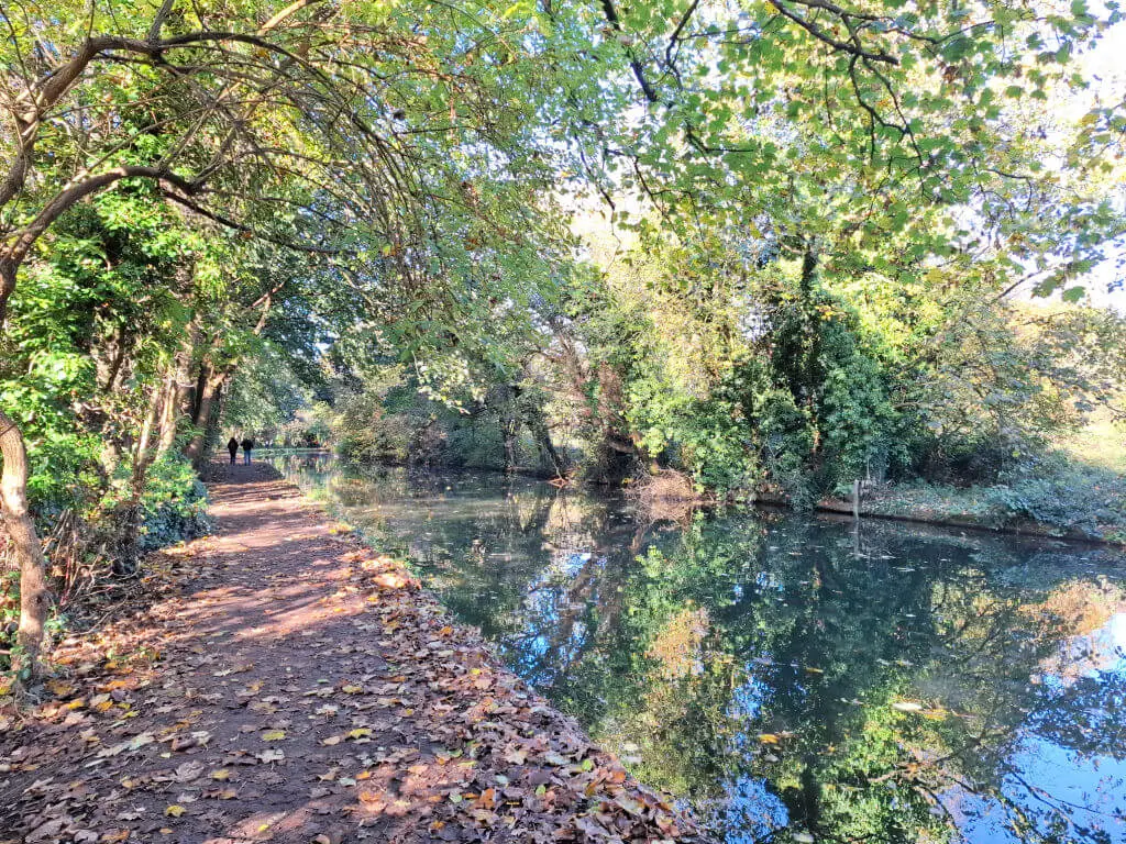 A leaf-covered tow path next to a canal. The trees along the path are reflected in the water