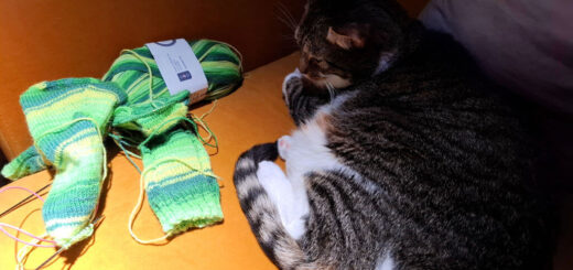 A tabby and white cat is curled up on mustard-coloured sofa next to a partly-knitted pair of green striped socks