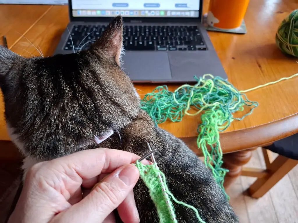 A hand is holding a short circular needle with a green sock cuff on it.  There's a cat sitting on the person's knee, unravelled yarn on a wooden table and an open laptop in front of the knitter