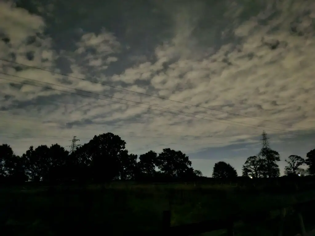 Dark trees silhouetted against a night sky with white clouds light up by street lighting