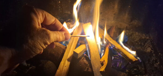 A hand holding a match to start a fire. There are already flames around the kindling