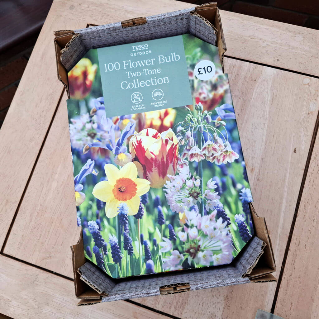 A cardboard box containing flower bulbs.  The cover of the box has brightly coloured pictures of flowers on it