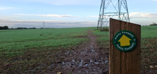 A circular footpath direction sign on a wooden post with a muddy footpath across a green field in the background