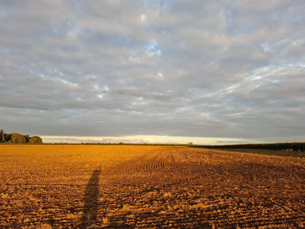 A shadow of a person against a field of stubble