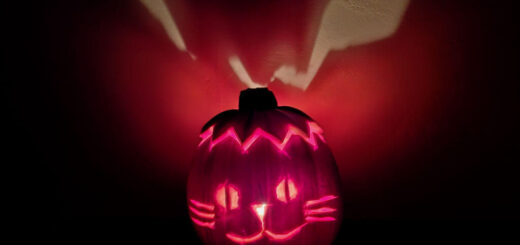 A carved pumpkin with a cat's face is lit up with pink light. Behind the pumpkin are shafts of light against the wall