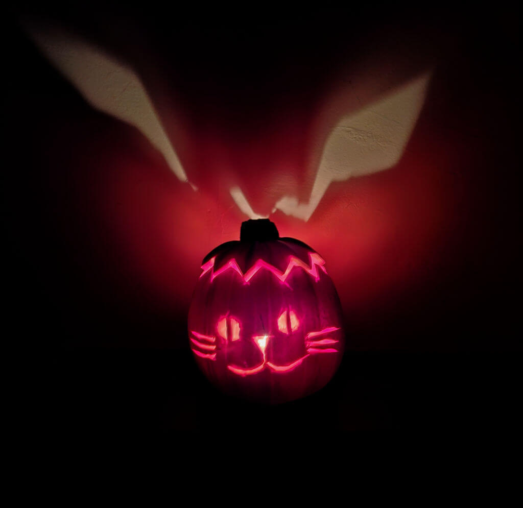 A carved pumpkin with a cat's face is lit up with pink light. Behind the pumpkin are shafts of light against the wall