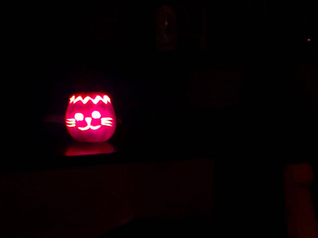 A pumpkin carved with a cat's face is lit up and looks as if it's floating in mid-air in the dark