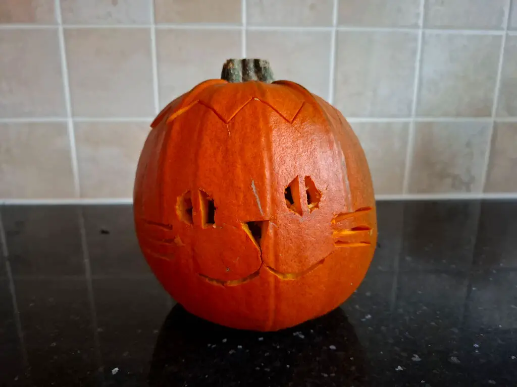 A small orange pumpkin carved with a cat's face