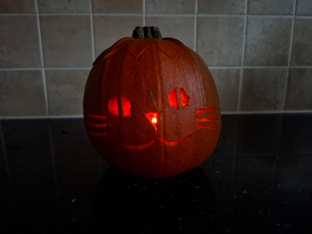 A small orange pumpkin carved with a cat's face with a candle inside.