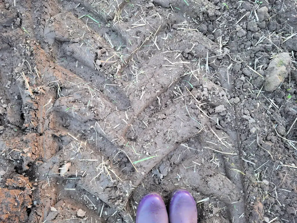 Wide tractor tyre marks in soft ground and a pair of purple wellies for context