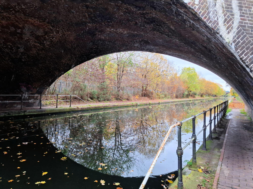 Reflections of autumn leaves and trees under a canal bridge