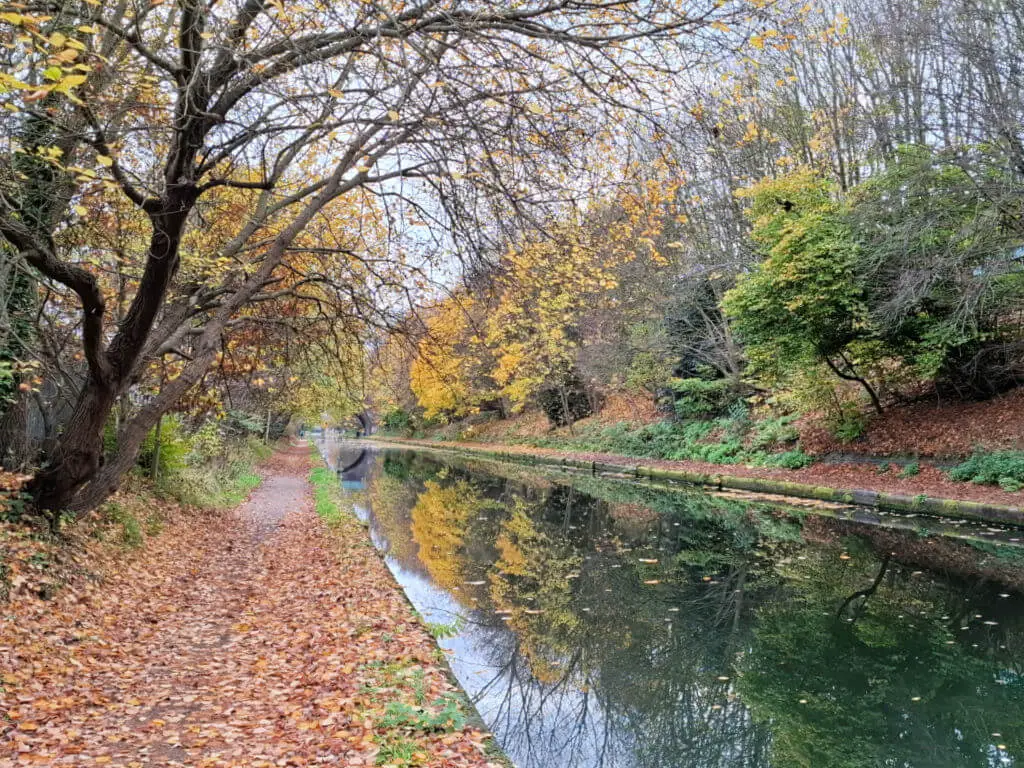 A towpath next to a canal covered in autumn leaves