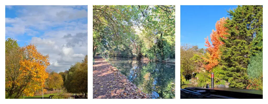 A collage of three photos of autumn leaves in the countryside