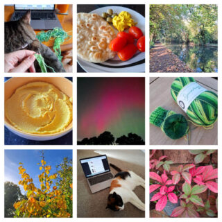 A collage of nine photos from the Blogtober round up post