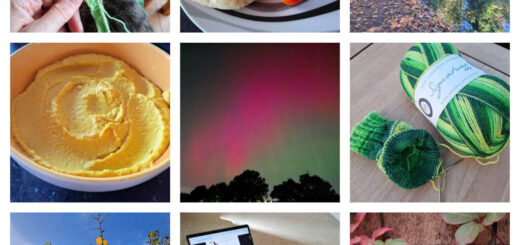 A collage of nine photos from the Blogtober round up post