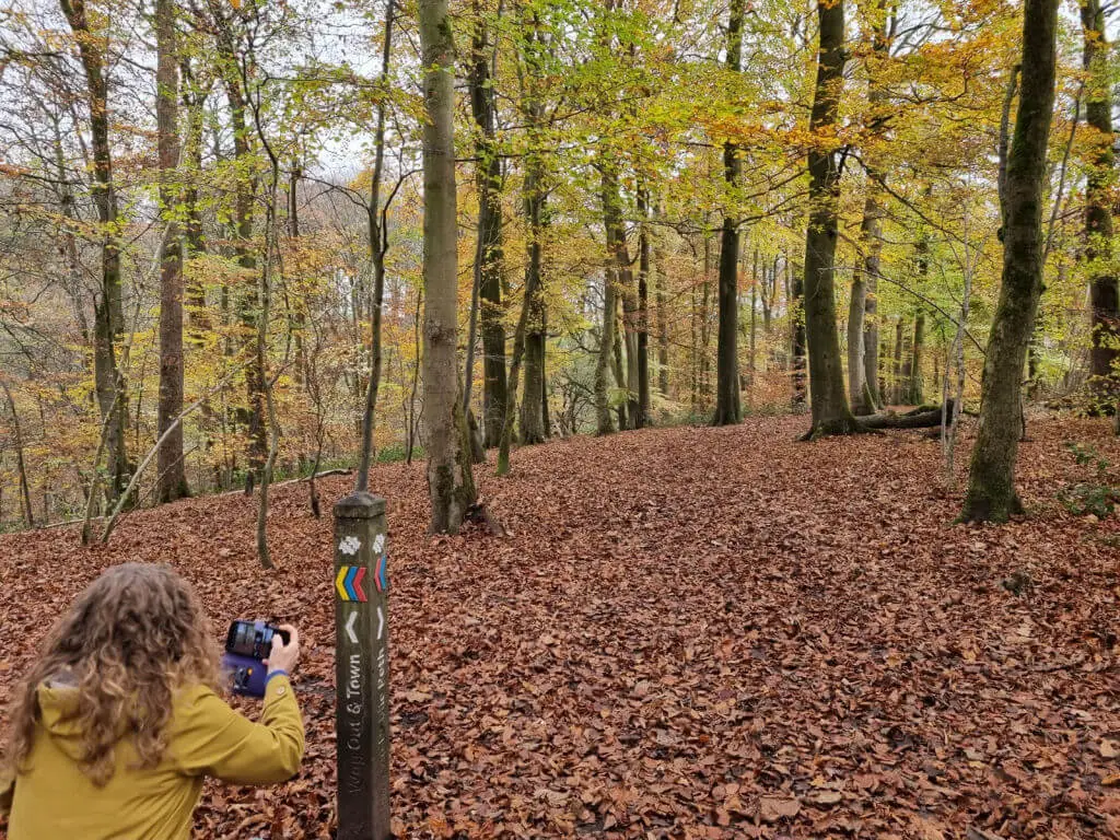 A woman in a mustard-coloured coat with long dark blonde hair crouches down to take a photograph of autumn leaves in a wood
