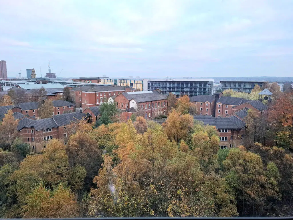A view across trees with autumn leaves to a city