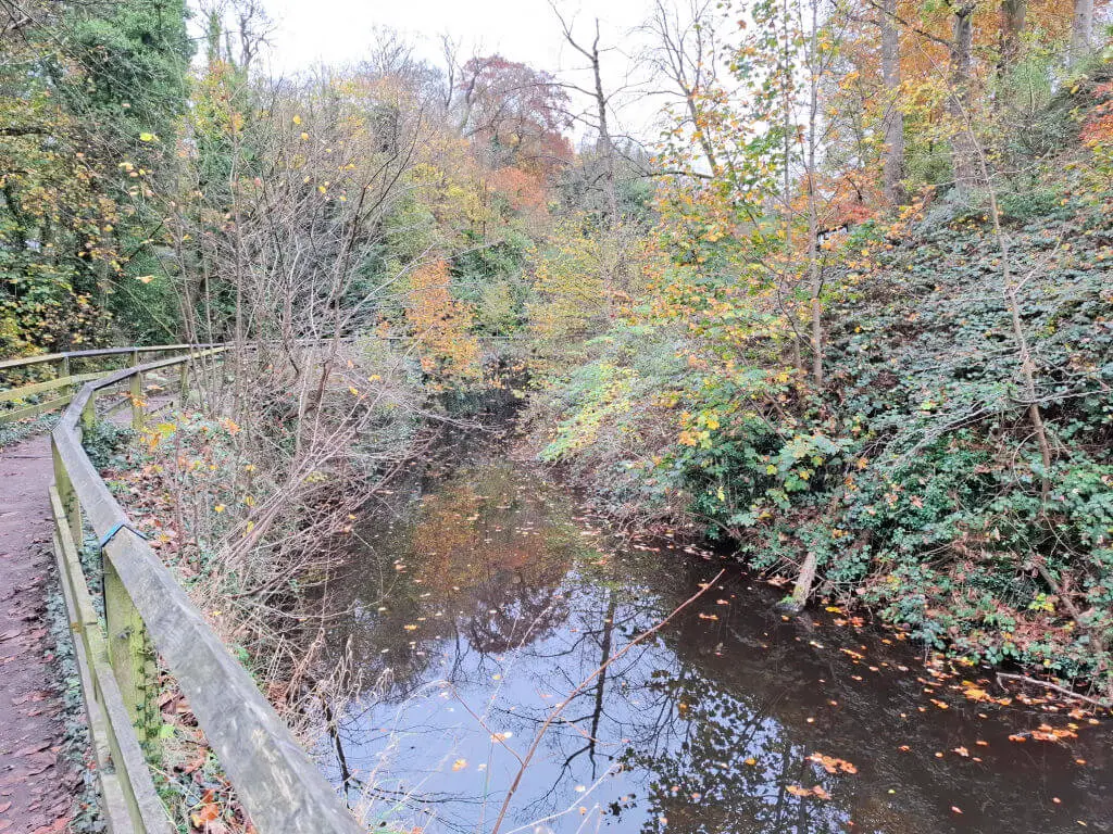 Autumn leaves on trees growing next to a canal towpath