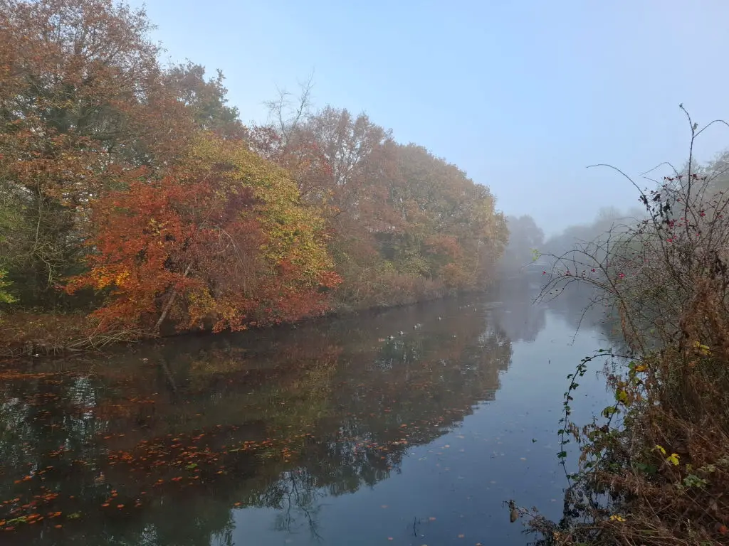 Autumn trees reflected in a misty canal