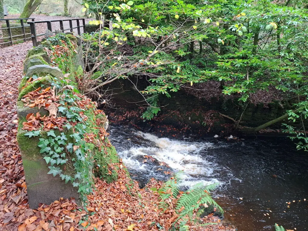 Rushing water in a stream under a bridge