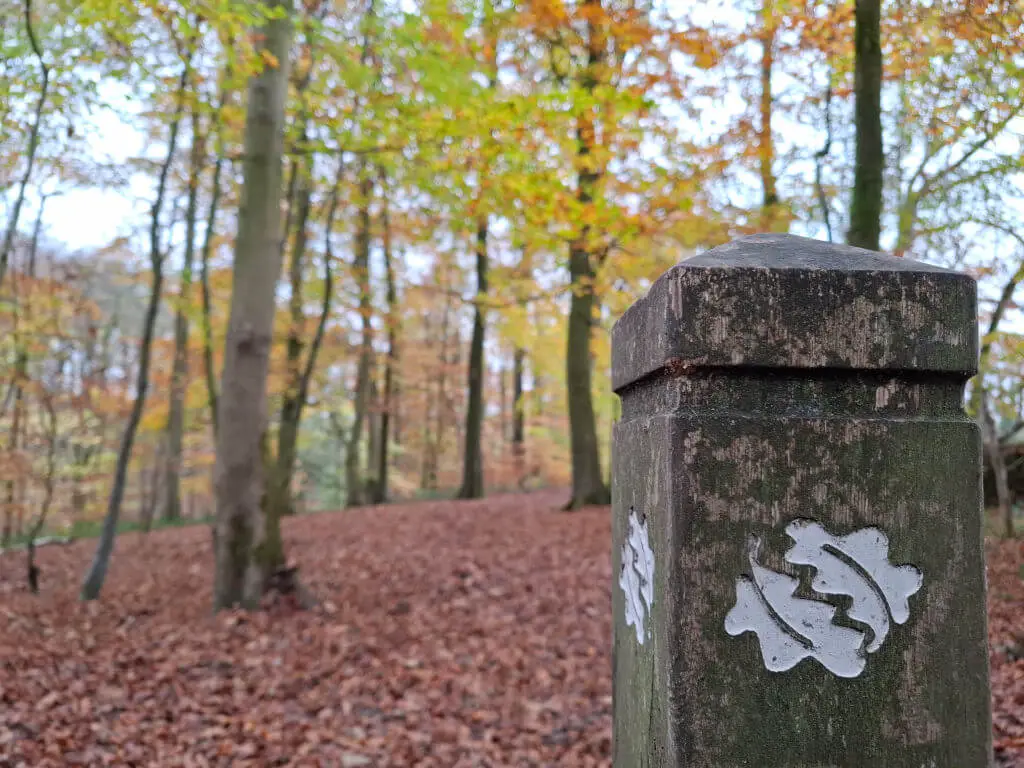 A slightly out of focus woodland view of autumn leaves in shades of yellow, green and red. A woodland sign to the bottom right is the main focus