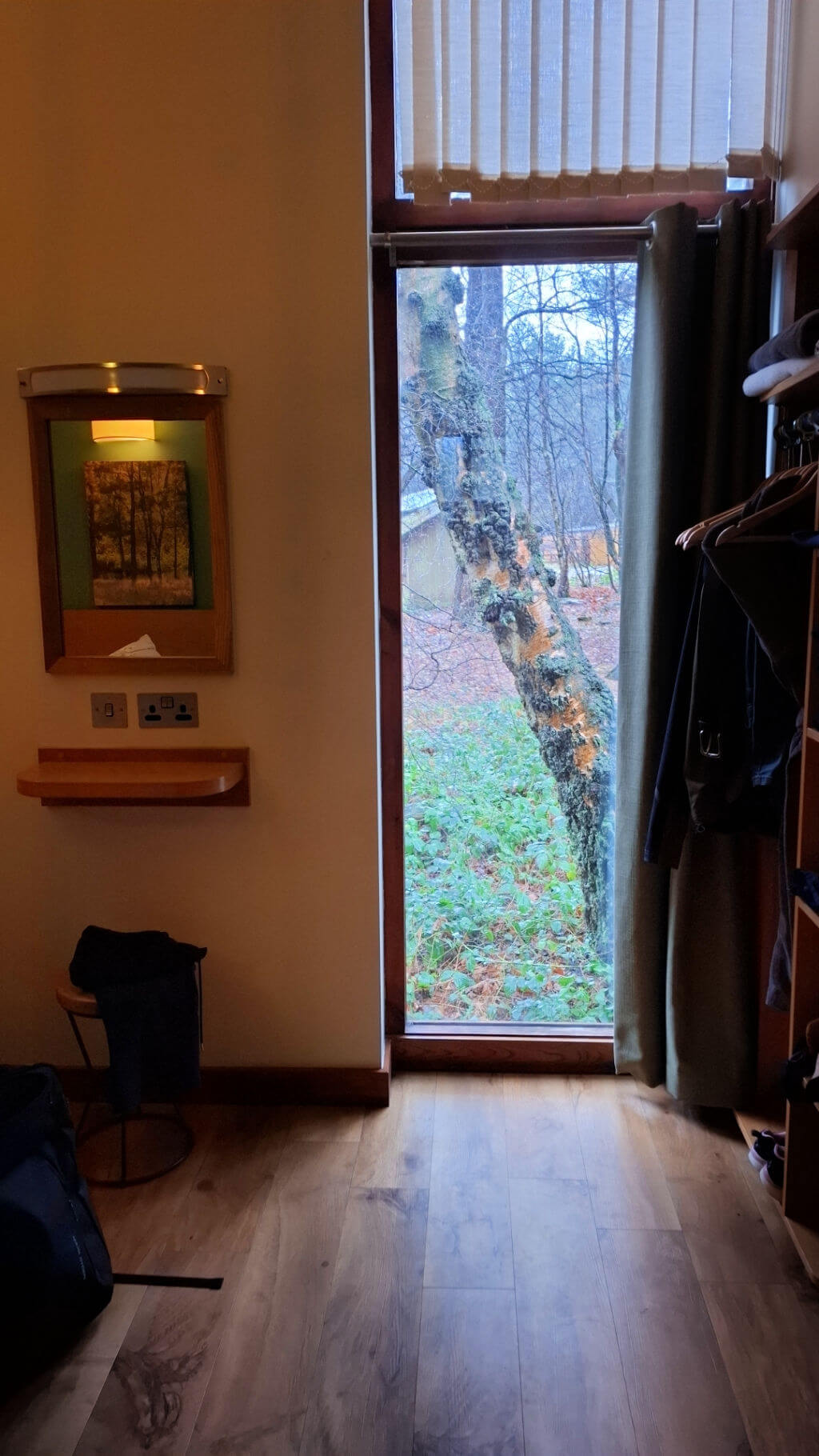 A view through a room to a floor to ceiling window looking outside into a forest