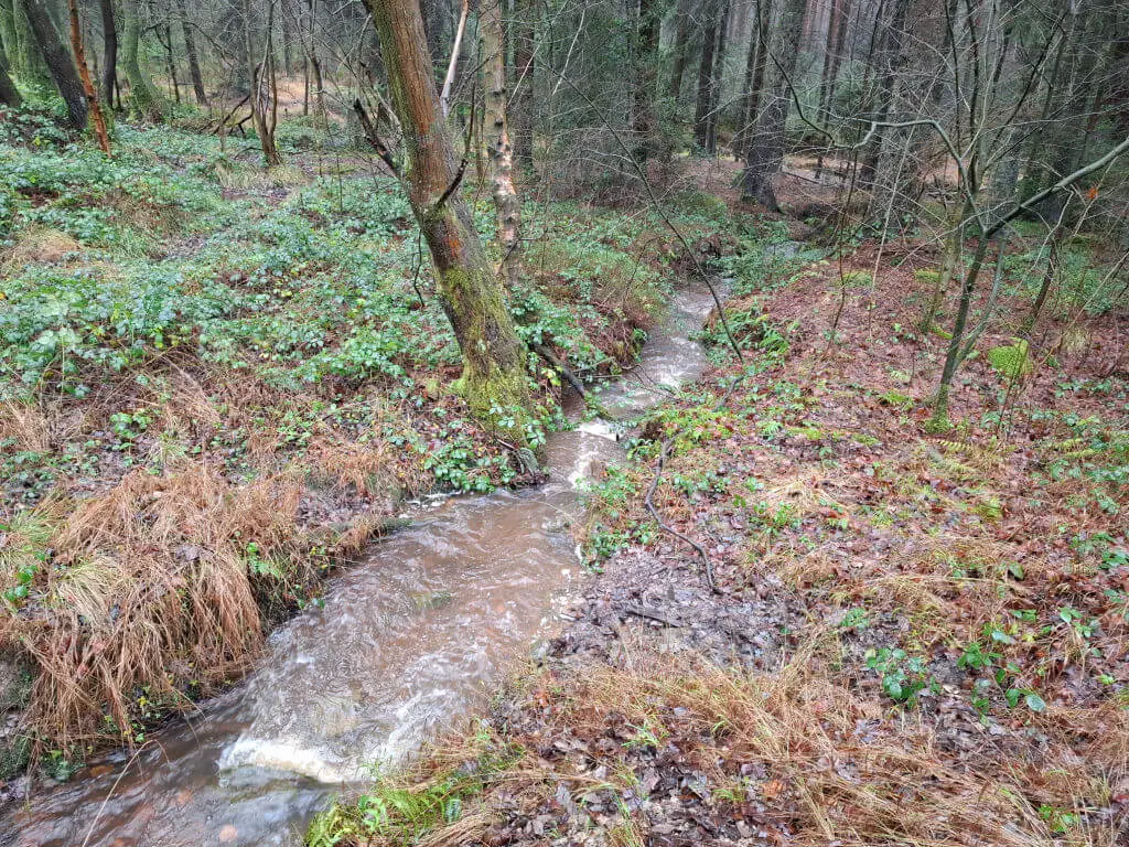 A small stream rushing downhill full of storm water