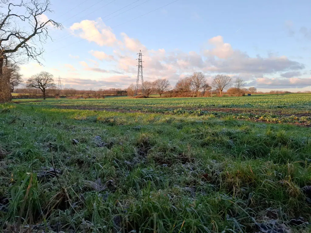 A view across a sunlit winter field. There is frost on the grass in the foreground