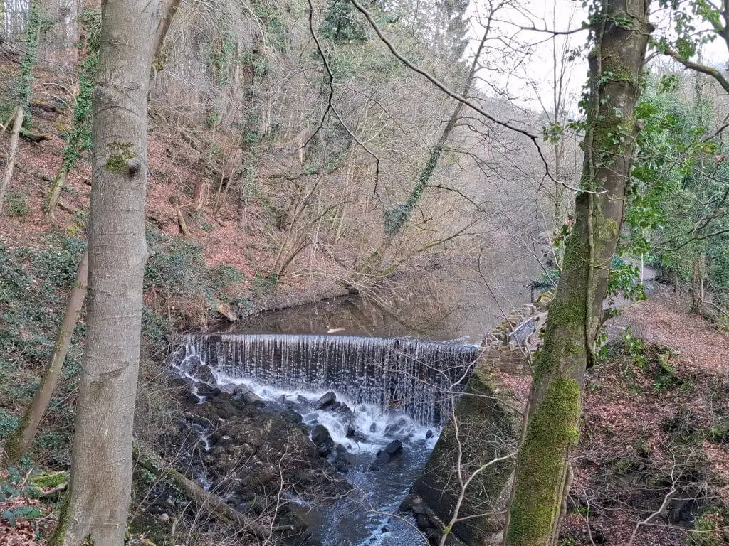 A serene forest scene with a small waterfall cascading over rocks into a calm stream. Bare trees surround the area, hinting at late autumn although it is March