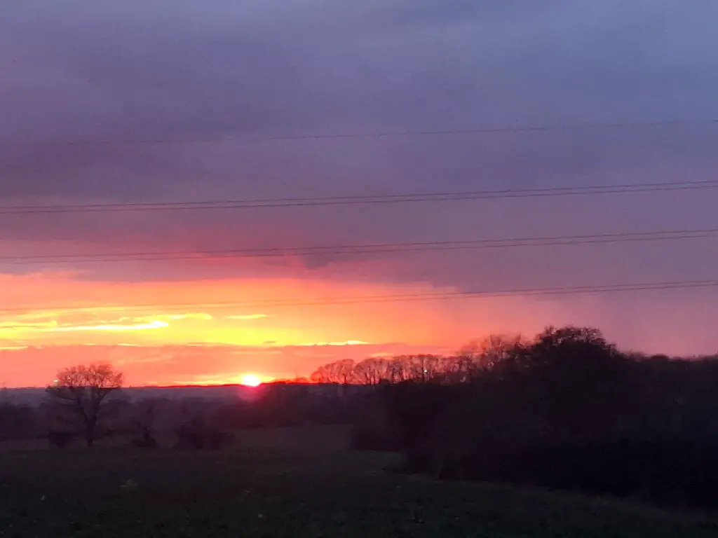 Sunset over a tranquil landscape, vibrant orange and pink hues in the sky. Silhouetted trees and power lines create a peaceful, serene atmosphere.