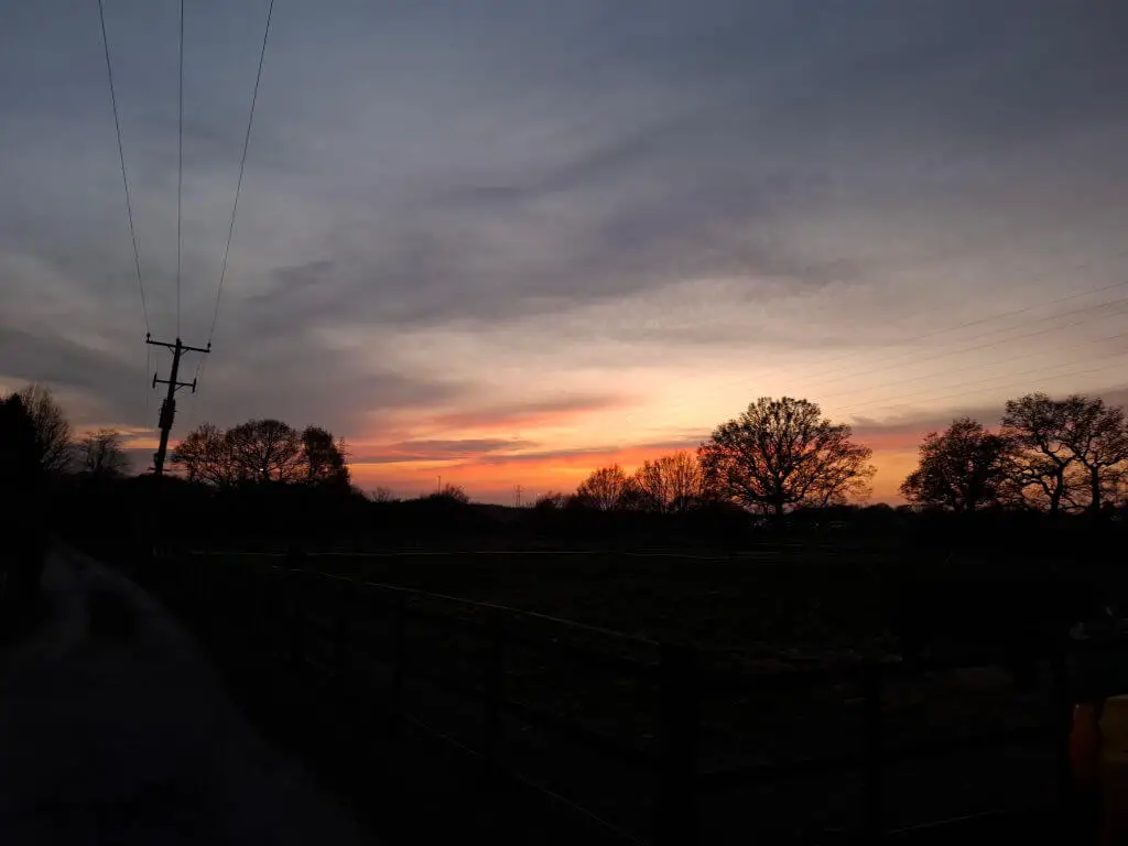 Silhouetted oak trees under a dramatic sunset sky with pink, orange, and gray hues. Telephone poles line a rural road on the left, evoking tranquility.