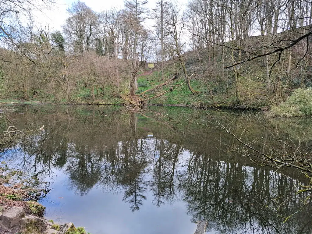A serene pond mirrors the surrounding bare trees and overcast sky, creating a tranquil, reflective scene with soft, muted colors and a peaceful mood.