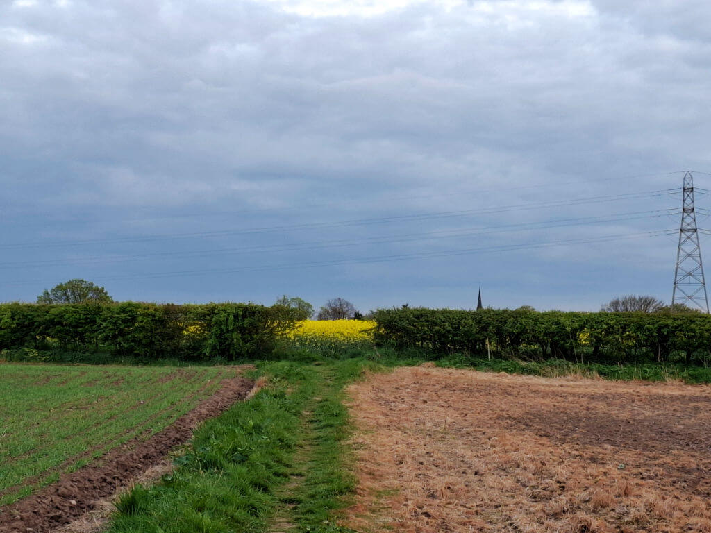 A rural landscape with a cloudy sky, featuring a path dividing a green field and a dry, brown field. A distant church steeple is visible beyond hedges.