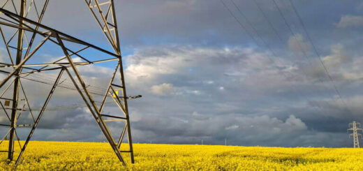 Golden field of yellow flowers under a dramatic cloudy sky, with a towering metal pylon on the left. The scene feels serene yet dynamic.