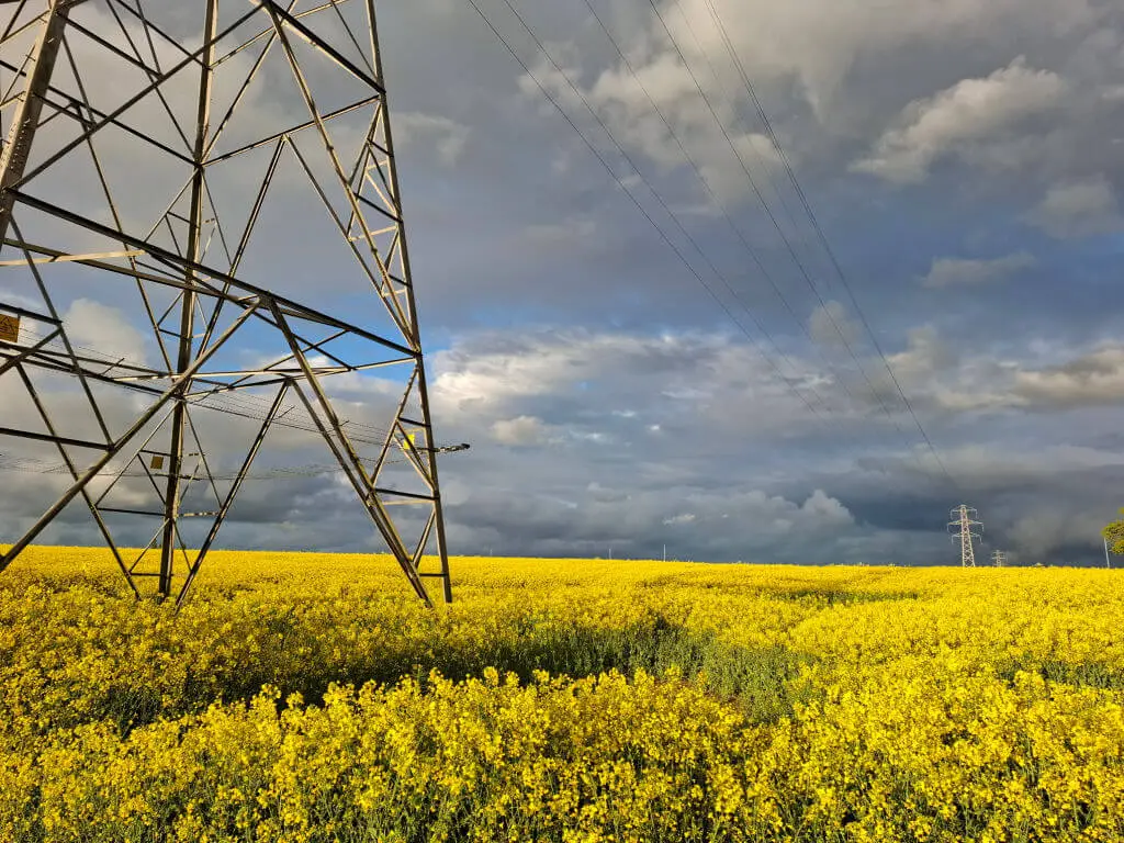 Golden field of yellow flowers under a dramatic cloudy sky, with a towering metal pylon on the left. The scene feels serene yet dynamic.