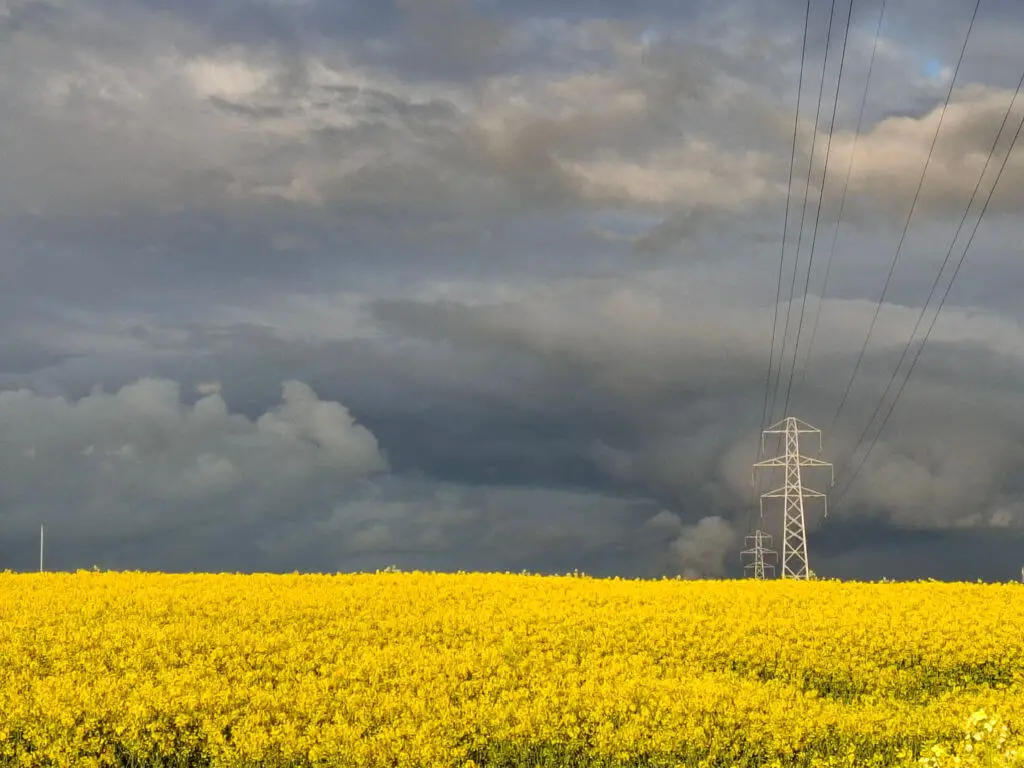 A vibrant yellow field stretches under a dramatic sky filled with dark, dense clouds, intersected by tall electricity pylons, creating a striking contrast.