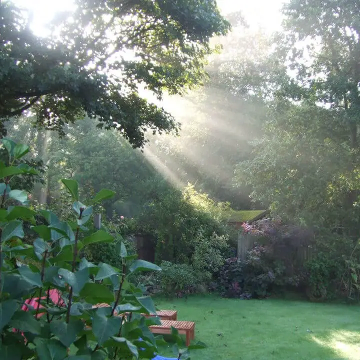 Sunbeams filter through lush green trees, casting light on a tranquil garden with a manicured lawn and colourful flowers, evoking serenity and peace. www.winwickmum.co.uk