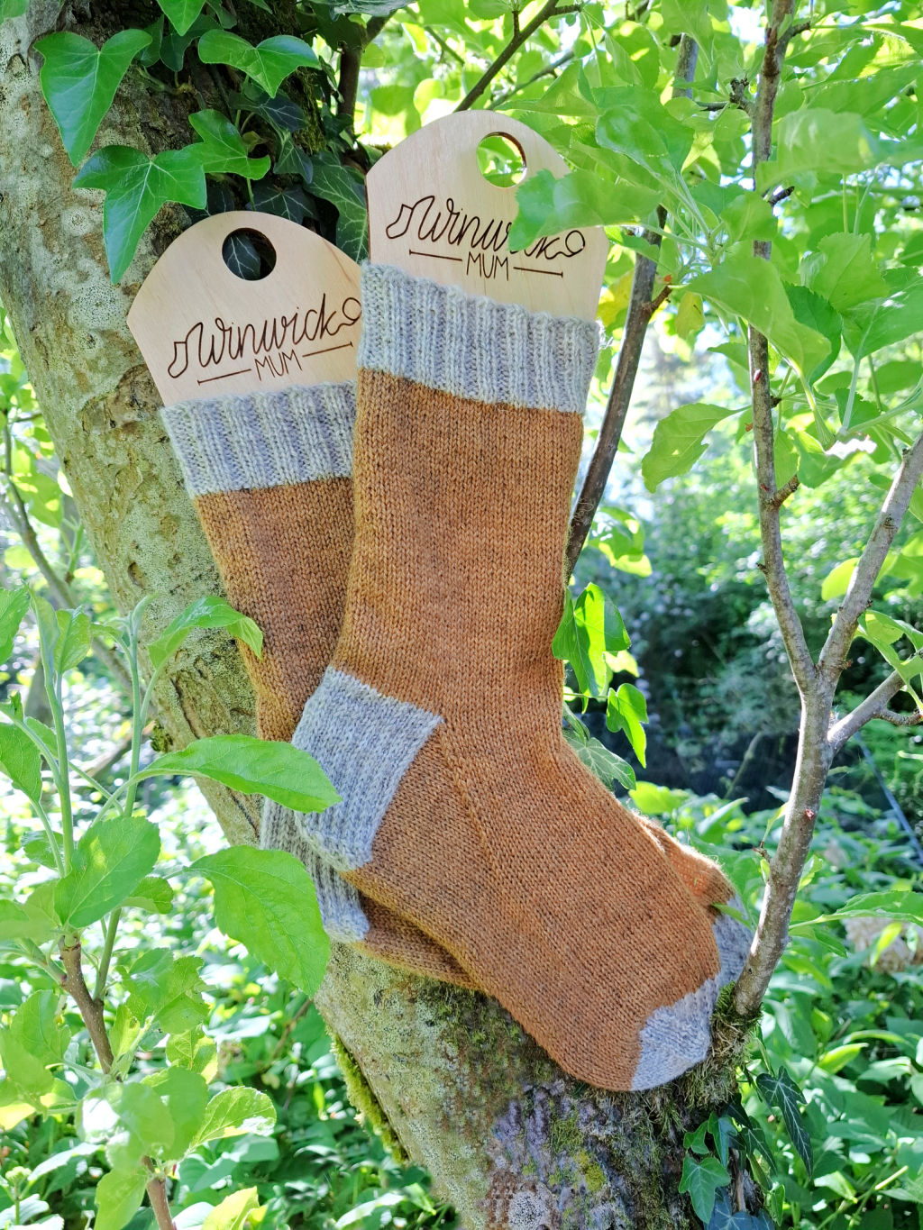 Gold knitted socks with grey cuffs and toes hang on an apple tree branch with lush green leaves. Sunlight filters through, creating a warm, rustic feel.