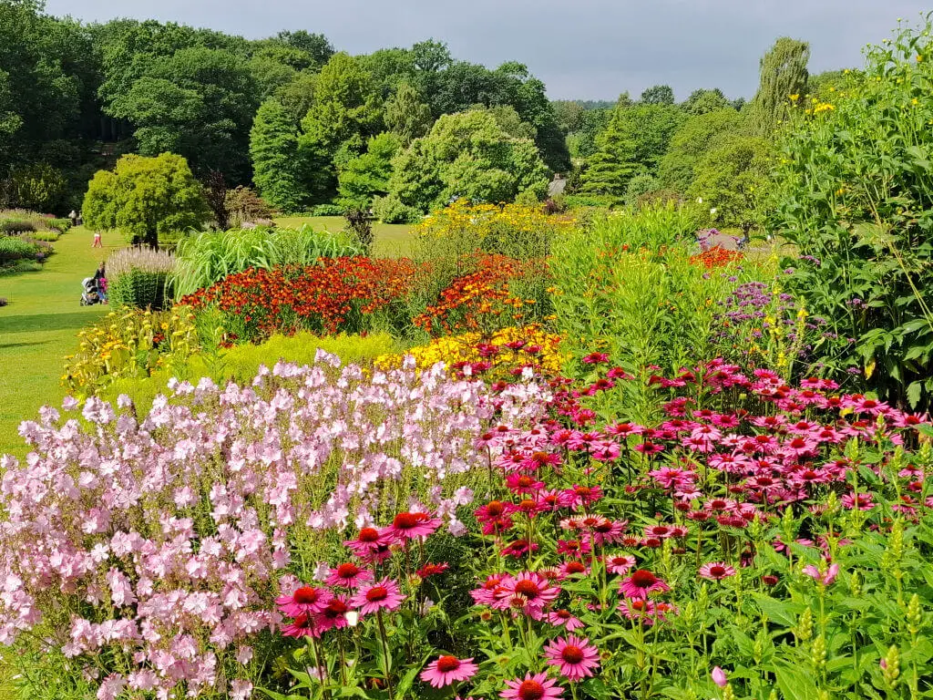Vibrant garden with pink, red, and orange flowers in full bloom. Lush green foliage and tall trees create a serene and colourful landscape.