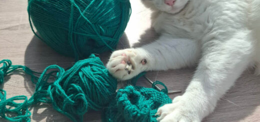 A calico cat lies on a wooden floor, paws resting on green yarn and knitting, conveying a playful and curious mood. Bright daylight enhances colours.