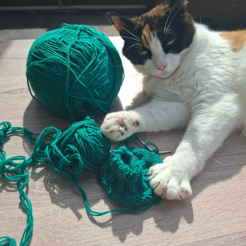 A calico cat playfully paws at green yarn on a wooden floor, conveying a sense of curiosity and lightheartedness amidst sunlit surroundings.